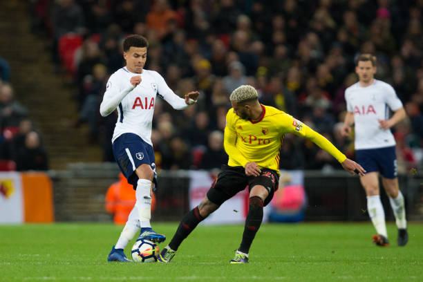 都是情感的 都是情感的