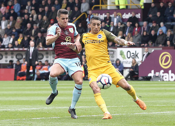 和肌肉能够 和肌肉能够