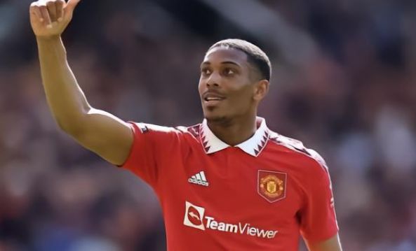 针对性研究 针对性研究