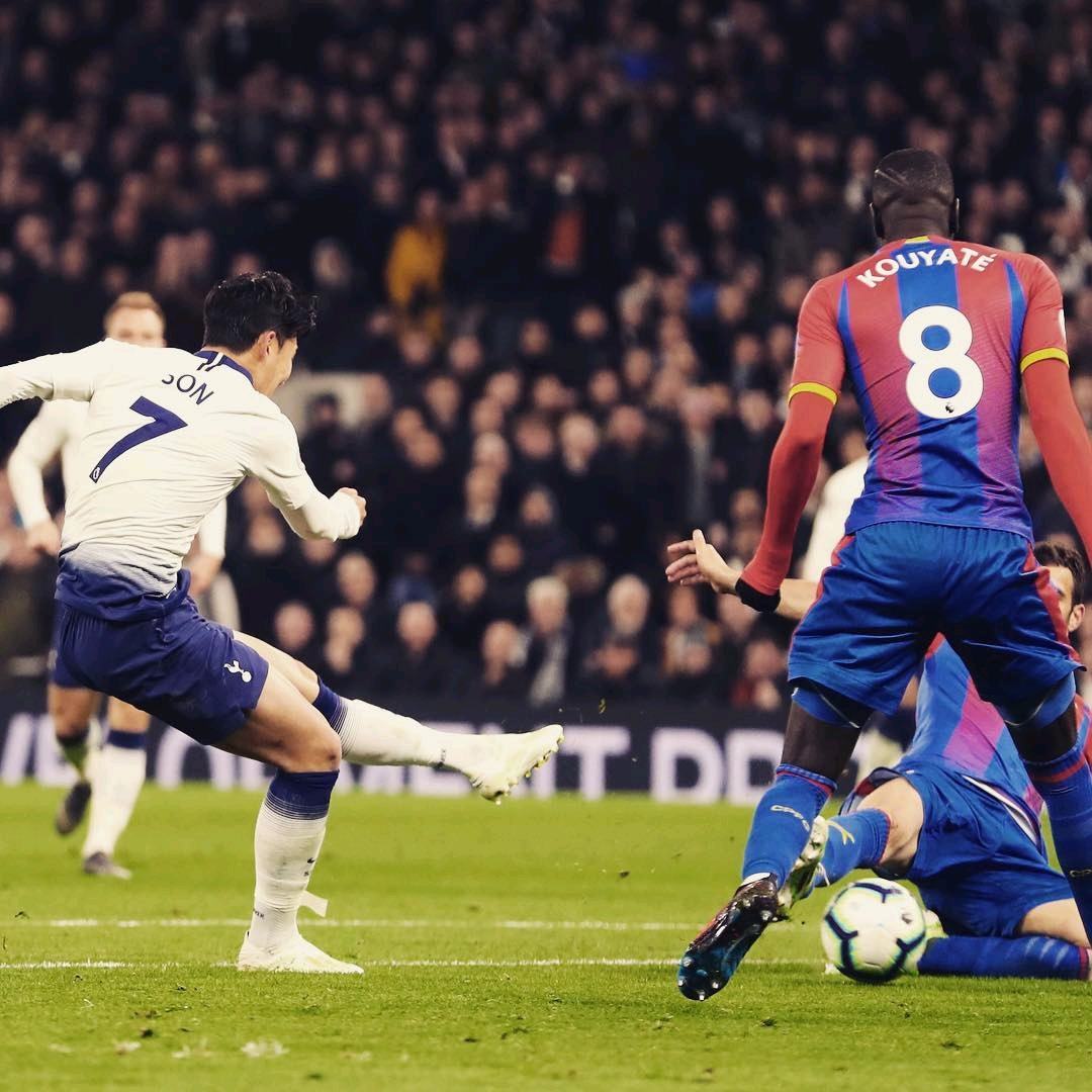 了其卓越的 了其卓越的