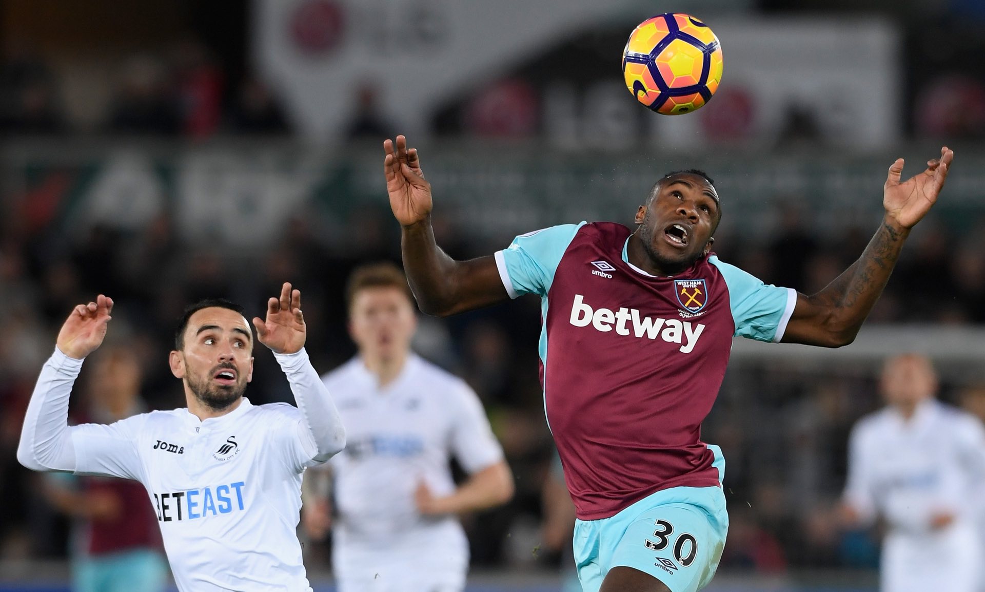 乐部不得不 乐部不得不